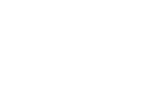 Jaguar Calçados