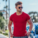 43209920610500|43209920676036|43209920708804|43209923035332|43209923068100|43209923133636